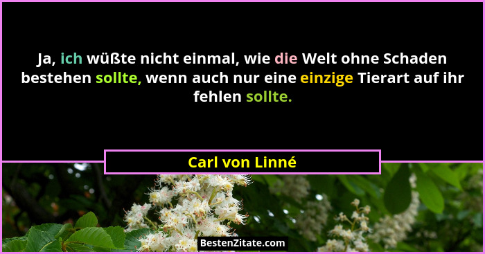 Ja, ich wüßte nicht einmal, wie die Welt ohne Schaden bestehen sollte, wenn auch nur eine einzige Tierart auf ihr fehlen sollte.... - Carl von Linné