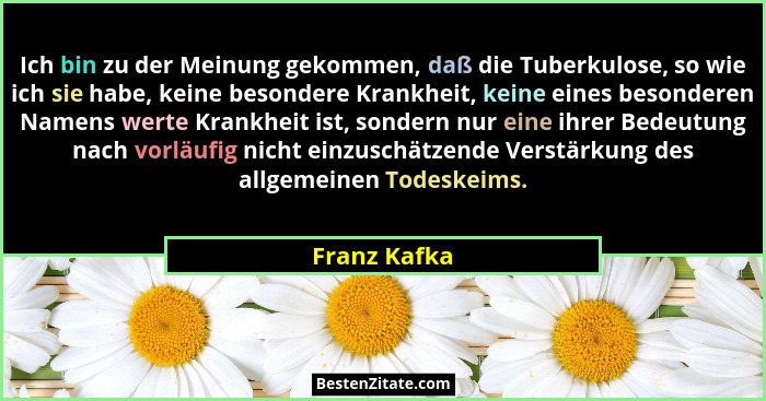 Ich bin zu der Meinung gekommen, daß die Tuberkulose, so wie ich sie habe, keine besondere Krankheit, keine eines besonderen Namens wert... - Franz Kafka