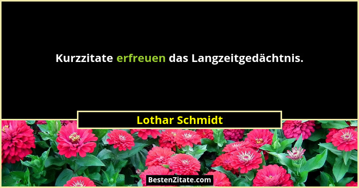 Kurzzitate erfreuen das Langzeitgedächtnis.... - Lothar Schmidt