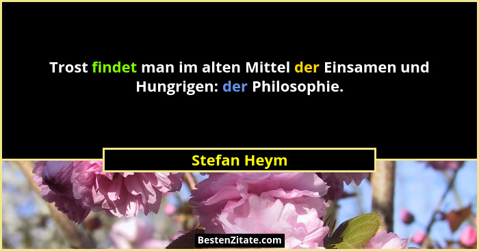 Trost findet man im alten Mittel der Einsamen und Hungrigen: der Philosophie.... - Stefan Heym