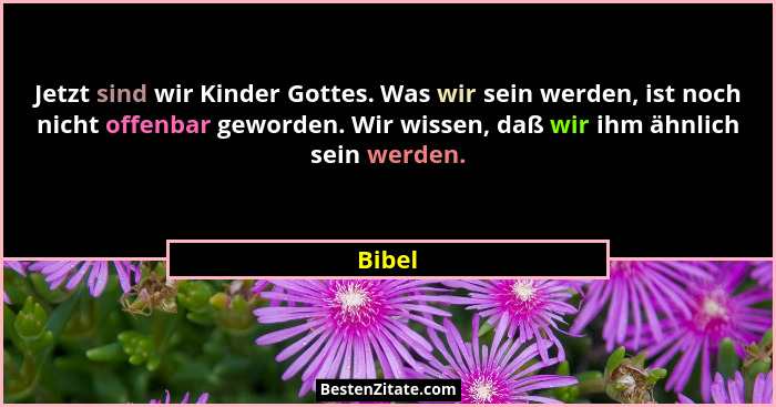 Jetzt sind wir Kinder Gottes. Was wir sein werden, ist noch nicht offenbar geworden. Wir wissen, daß wir ihm ähnlich sein werden.... - Bibel