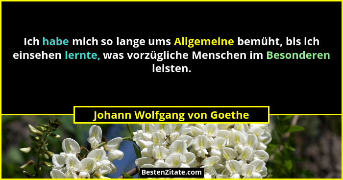 Ich habe mich so lange ums Allgemeine bemüht, bis ich einsehen lernte, was vorzügliche Menschen im Besonderen leisten.... - Johann Wolfgang von Goethe