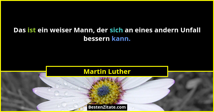 Das ist ein weiser Mann, der sich an eines andern Unfall bessern kann.... - Martin Luther