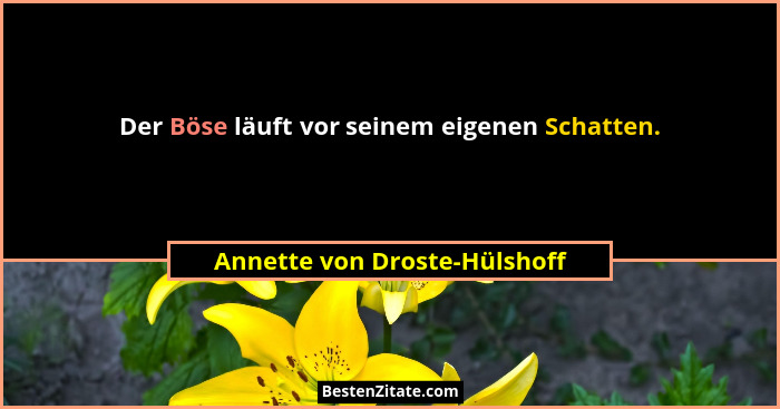 Der Böse läuft vor seinem eigenen Schatten.... - Annette von Droste-Hülshoff