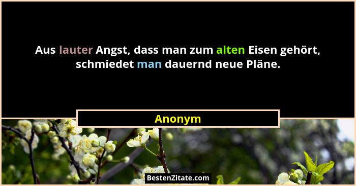 Aus lauter Angst, dass man zum alten Eisen gehört, schmiedet man dauernd neue Pläne.... - Anonym