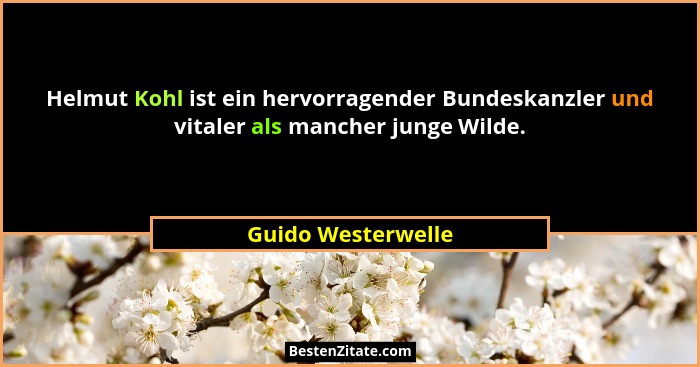Helmut Kohl ist ein hervorragender Bundeskanzler und vitaler als mancher junge Wilde.... - Guido Westerwelle