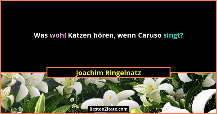 Was wohl Katzen hören, wenn Caruso singt?... - Joachim Ringelnatz