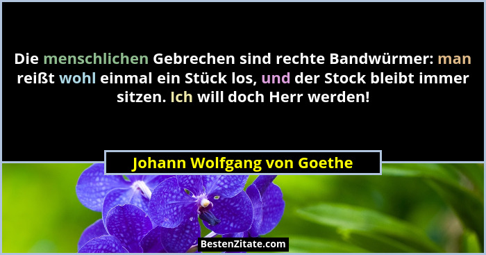 Die menschlichen Gebrechen sind rechte Bandwürmer: man reißt wohl einmal ein Stück los, und der Stock bleibt immer sitzen... - Johann Wolfgang von Goethe