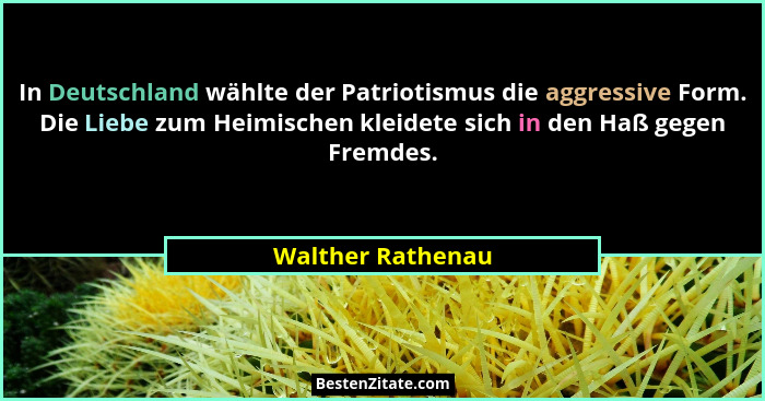In Deutschland wählte der Patriotismus die aggressive Form. Die Liebe zum Heimischen kleidete sich in den Haß gegen Fremdes.... - Walther Rathenau