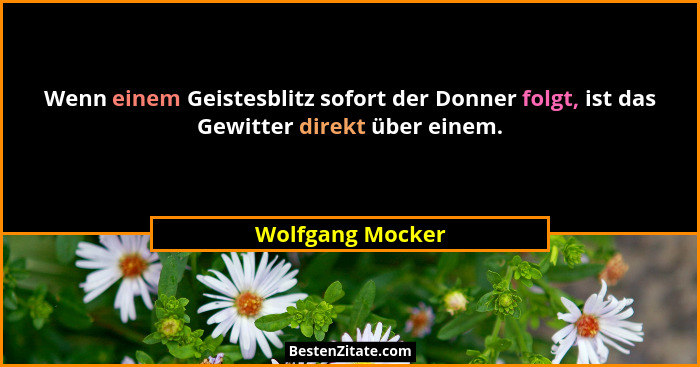 Wenn einem Geistesblitz sofort der Donner folgt, ist das Gewitter direkt über einem.... - Wolfgang Mocker
