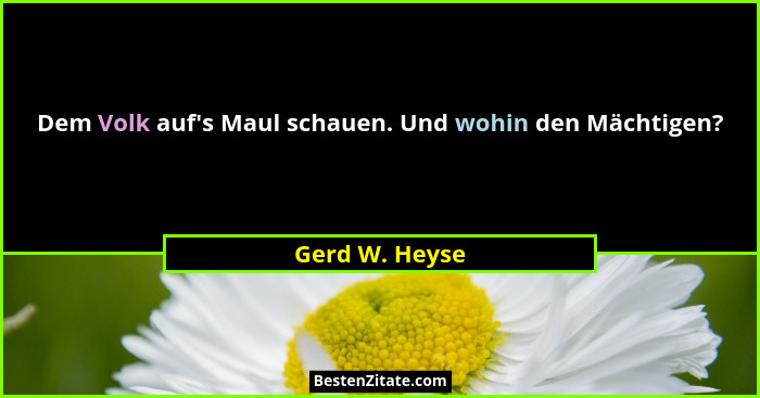 Dem Volk auf's Maul schauen. Und wohin den Mächtigen?... - Gerd W. Heyse