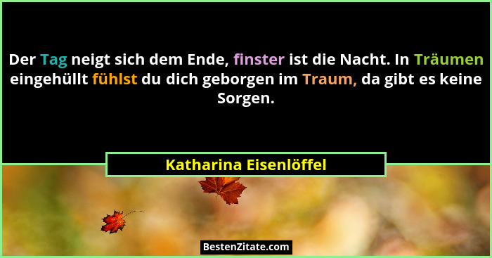 Der Tag neigt sich dem Ende, finster ist die Nacht. In Träumen eingehüllt fühlst du dich geborgen im Traum, da gibt es keine S... - Katharina Eisenlöffel
