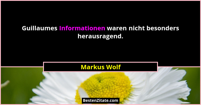 Guillaumes Informationen waren nicht besonders herausragend.... - Markus Wolf