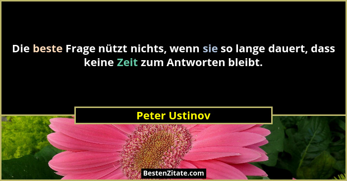 Die beste Frage nützt nichts, wenn sie so lange dauert, dass keine Zeit zum Antworten bleibt.... - Peter Ustinov