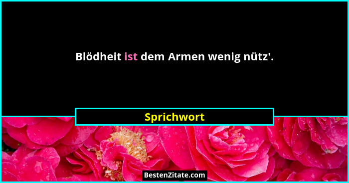 Blödheit ist dem Armen wenig nütz'.... - Sprichwort
