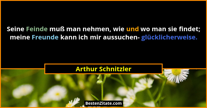 Seine Feinde muß man nehmen, wie und wo man sie findet; meine Freunde kann ich mir aussuchen- glücklicherweise.... - Arthur Schnitzler