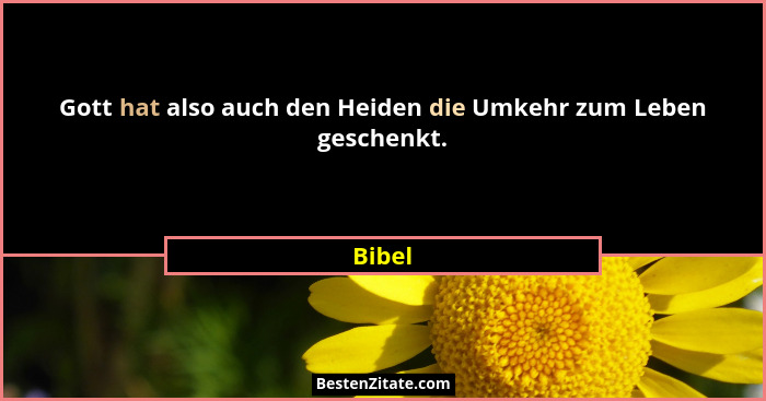 Gott hat also auch den Heiden die Umkehr zum Leben geschenkt.... - Bibel