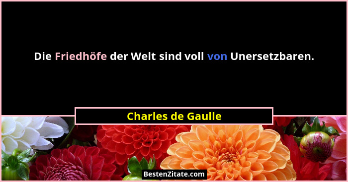 Die Friedhöfe der Welt sind voll von Unersetzbaren.... - Charles de Gaulle