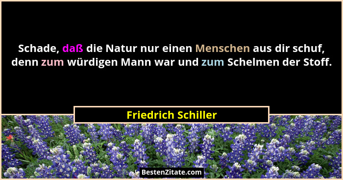 Schade, daß die Natur nur einen Menschen aus dir schuf, denn zum würdigen Mann war und zum Schelmen der Stoff.... - Friedrich Schiller