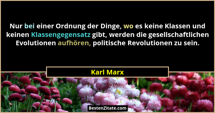 Nur bei einer Ordnung der Dinge, wo es keine Klassen und keinen Klassengegensatz gibt, werden die gesellschaftlichen Evolutionen aufhören,... - Karl Marx