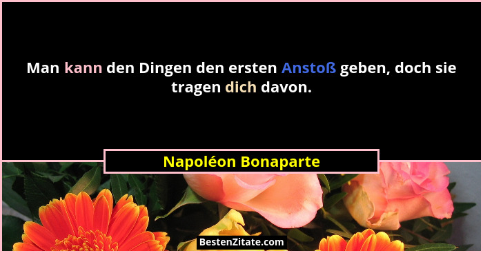 Man kann den Dingen den ersten Anstoß geben, doch sie tragen dich davon.... - Napoléon Bonaparte