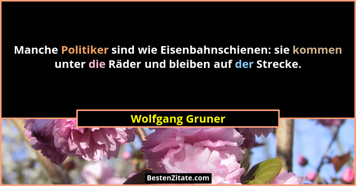 Manche Politiker sind wie Eisenbahnschienen: sie kommen unter die Räder und bleiben auf der Strecke.... - Wolfgang Gruner