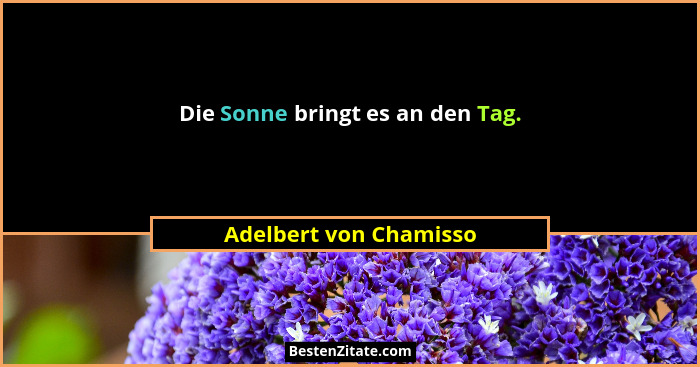 Die Sonne bringt es an den Tag.... - Adelbert von Chamisso