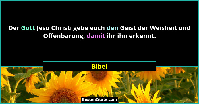 Der Gott Jesu Christi gebe euch den Geist der Weisheit und Offenbarung, damit ihr ihn erkennt.... - Bibel