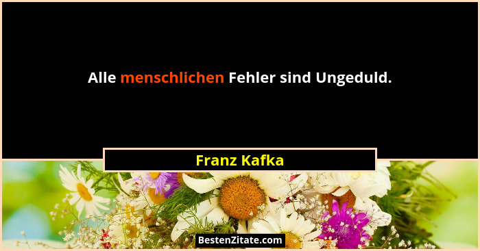 Alle menschlichen Fehler sind Ungeduld.... - Franz Kafka