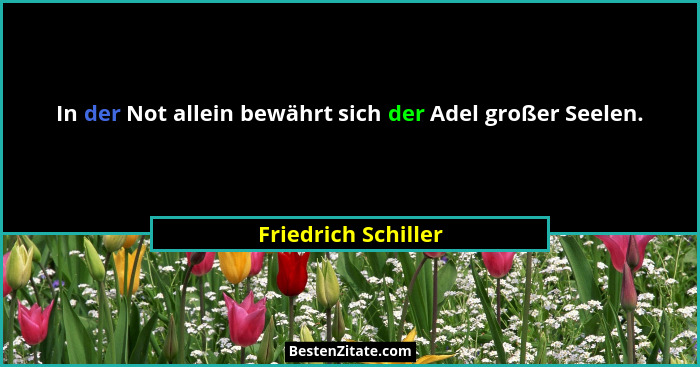 In der Not allein bewährt sich der Adel großer Seelen.... - Friedrich Schiller