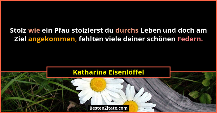 Stolz wie ein Pfau stolzierst du durchs Leben und doch am Ziel angekommen, fehlten viele deiner schönen Federn.... - Katharina Eisenlöffel