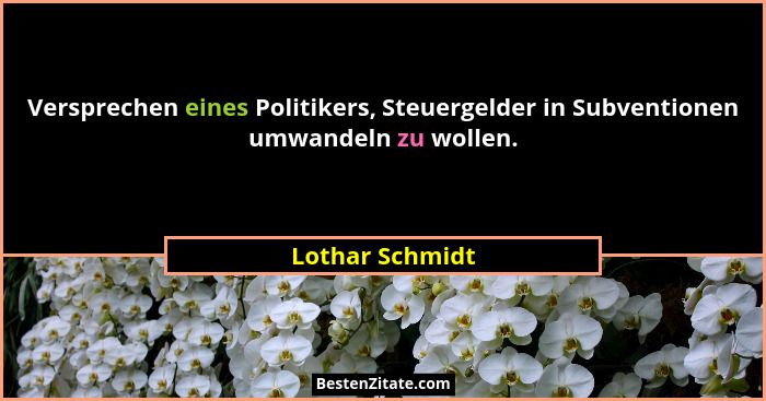 Versprechen eines Politikers, Steuergelder in Subventionen umwandeln zu wollen.... - Lothar Schmidt