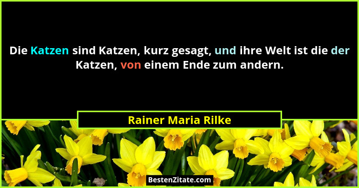 Die Katzen sind Katzen, kurz gesagt, und ihre Welt ist die der Katzen, von einem Ende zum andern.... - Rainer Maria Rilke