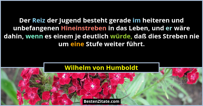 Der Reiz der Jugend besteht gerade im heiteren und unbefangenen Hineinstreben in das Leben, und er wäre dahin, wenn es einem je... - Wilhelm von Humboldt