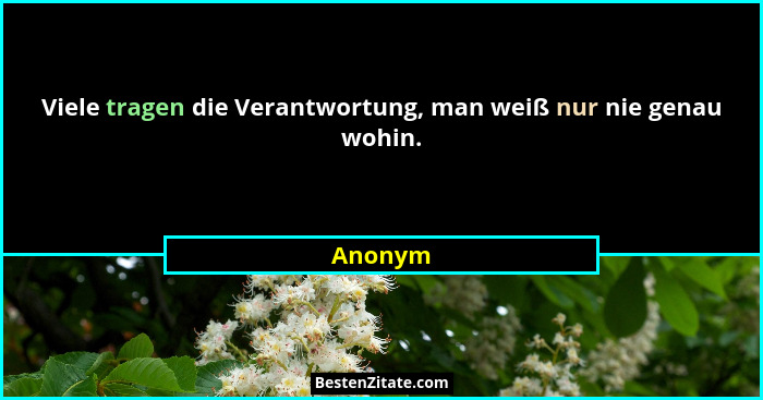 Viele tragen die Verantwortung, man weiß nur nie genau wohin.... - Anonym