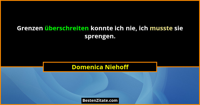 Grenzen überschreiten konnte ich nie, ich musste sie sprengen.... - Domenica Niehoff