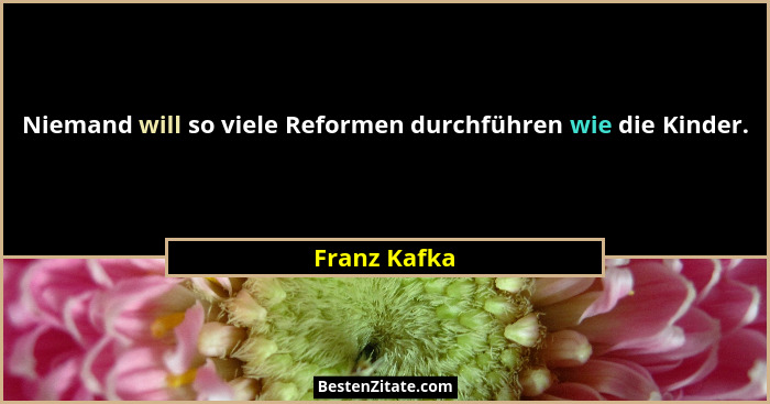 Niemand will so viele Reformen durchführen wie die Kinder.... - Franz Kafka
