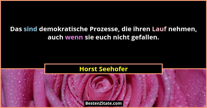 Das sind demokratische Prozesse, die ihren Lauf nehmen, auch wenn sie euch nicht gefallen.... - Horst Seehofer
