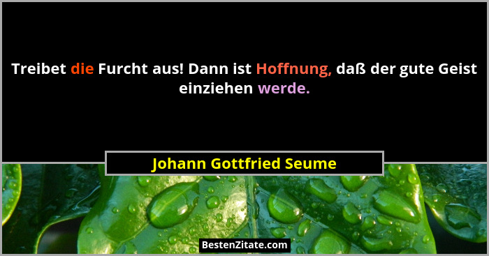 Treibet die Furcht aus! Dann ist Hoffnung, daß der gute Geist einziehen werde.... - Johann Gottfried Seume
