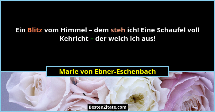 Ein Blitz vom Himmel – dem steh ich! Eine Schaufel voll Kehricht – der weich ich aus!... - Marie von Ebner-Eschenbach