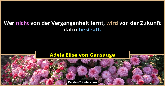 Wer nicht von der Vergangenheit lernt, wird von der Zukunft dafür bestraft.... - Adele Elise von Gansauge