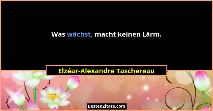 Was wächst, macht keinen Lärm.... - Elzéar-Alexandre Taschereau