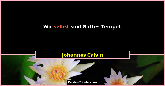 Wir selbst sind Gottes Tempel.... - Johannes Calvin