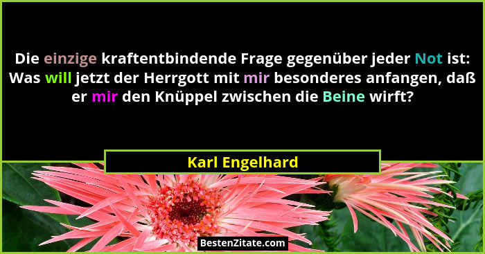 Die einzige kraftentbindende Frage gegenüber jeder Not ist: Was will jetzt der Herrgott mit mir besonderes anfangen, daß er mir den K... - Karl Engelhard