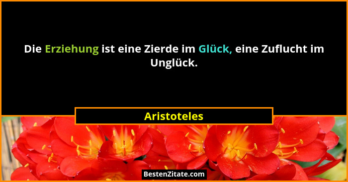 Die Erziehung ist eine Zierde im Glück, eine Zuflucht im Unglück.... - Aristoteles
