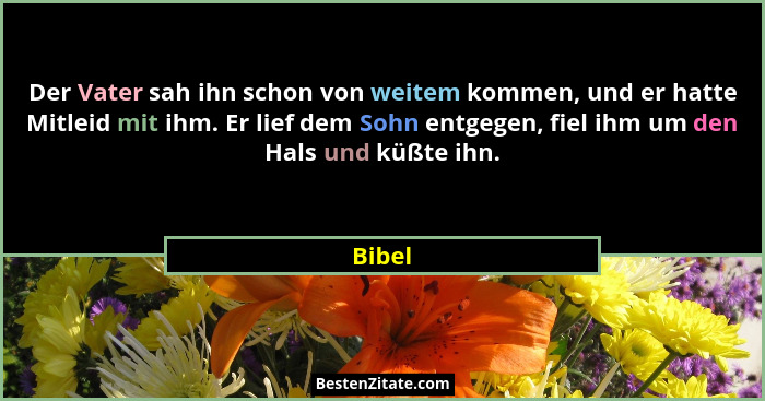Der Vater sah ihn schon von weitem kommen, und er hatte Mitleid mit ihm. Er lief dem Sohn entgegen, fiel ihm um den Hals und küßte ihn.... - Bibel