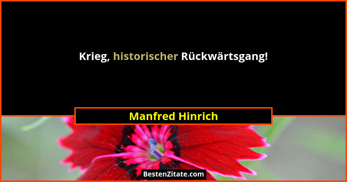 Krieg, historischer Rückwärtsgang!... - Manfred Hinrich