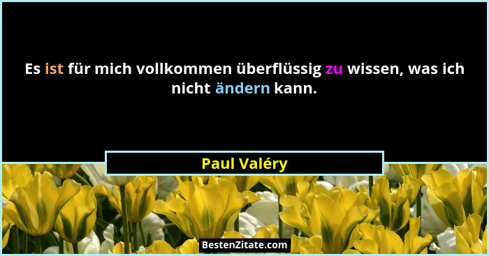 Es ist für mich vollkommen überflüssig zu wissen, was ich nicht ändern kann.... - Paul Valéry