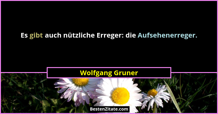 Es gibt auch nützliche Erreger: die Aufsehenerreger.... - Wolfgang Gruner