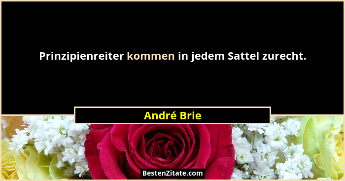 Prinzipienreiter kommen in jedem Sattel zurecht.... - André Brie